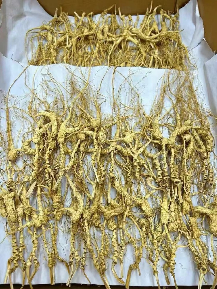 產(chǎn)品展示六