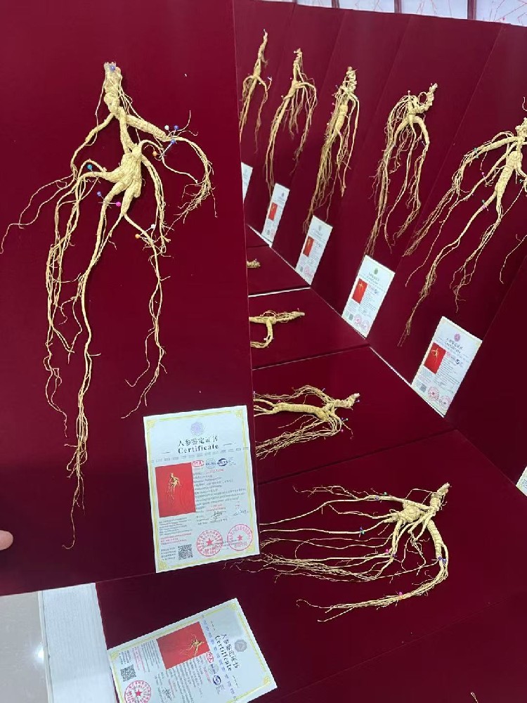 產(chǎn)品展示一
